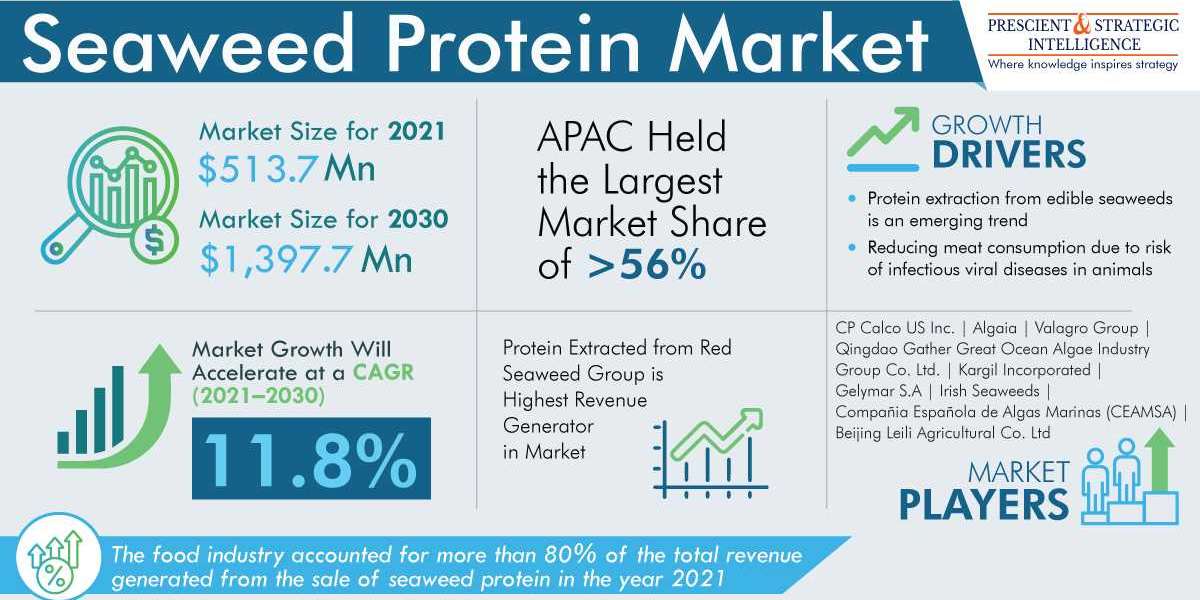 Seaweed Protein Market Share, Growing Demand, and Top Key Players