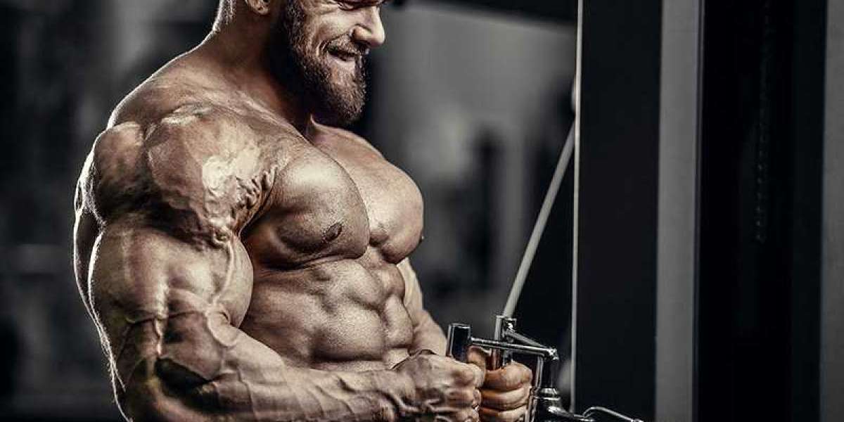 What Are The Positive Aspects Associated With Sarms Online Canada?