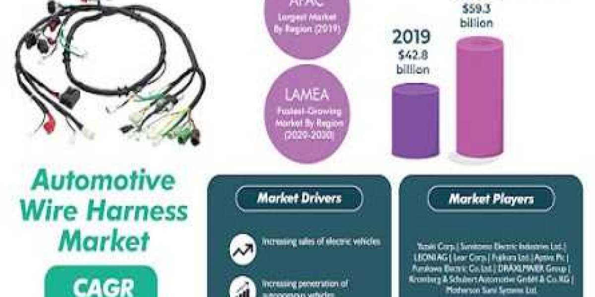 Driving Efficiency with Automotive Wire Harnesses: Market Insights