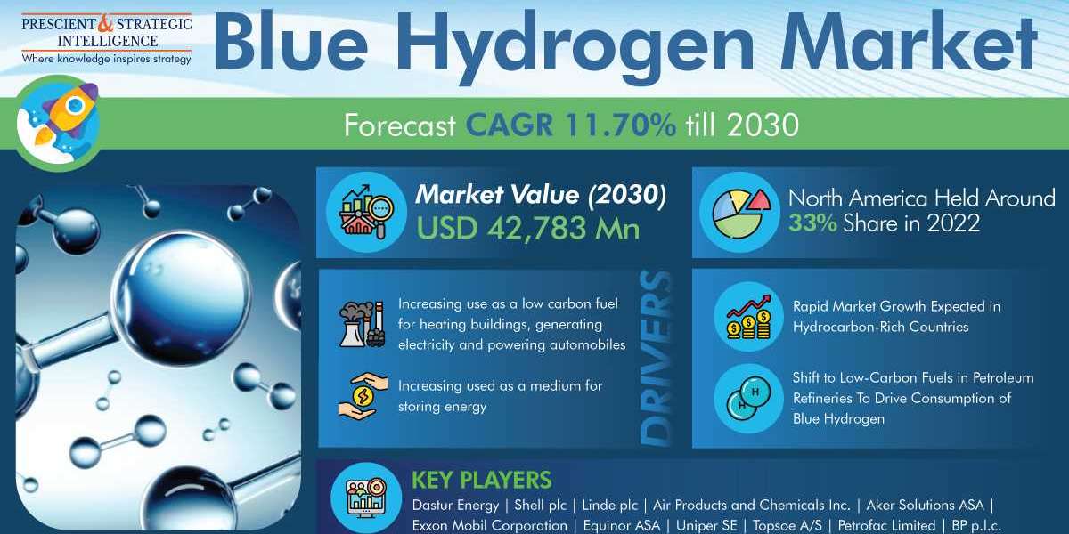 Blue Hydrogen Market Share, Size, Future Demand, and Emerging Trends