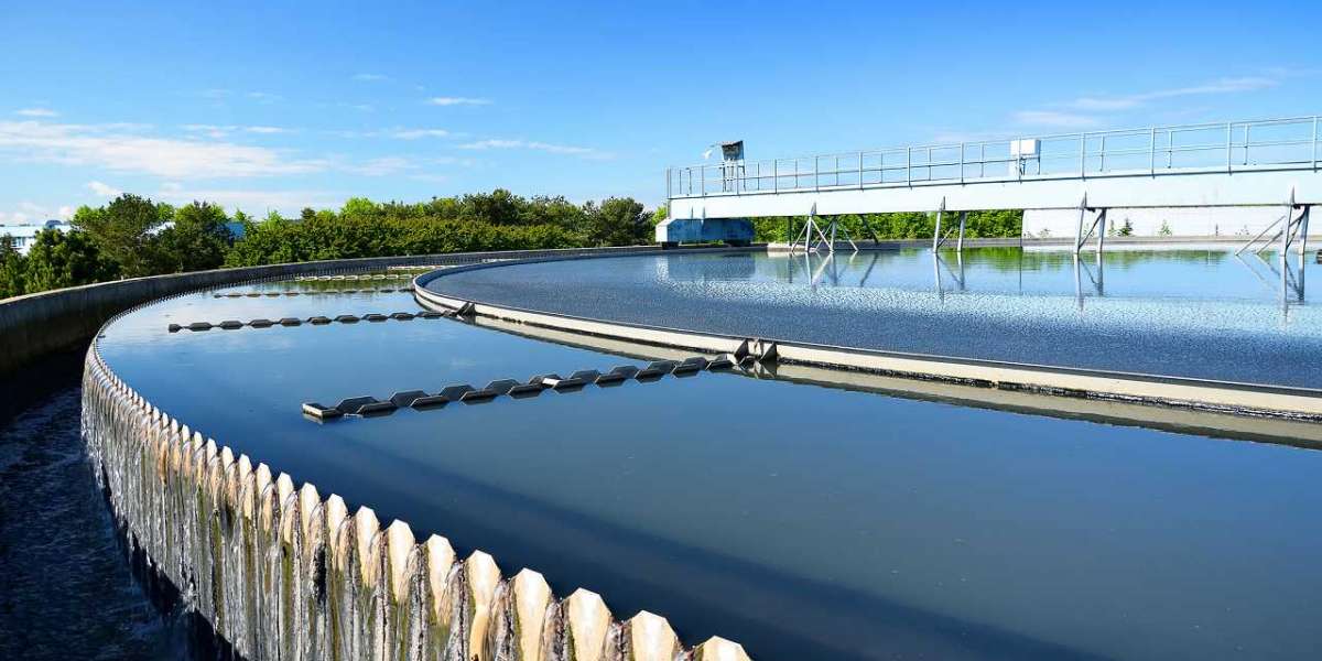 Industrial Sludge Treatment Chemicals Market Trends and Forecast till 2029