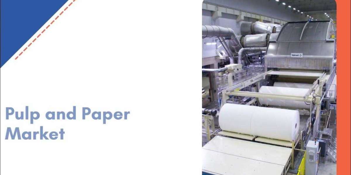 Pulp and Paper Market Status, Competitive Landscape and Forecast till 2029