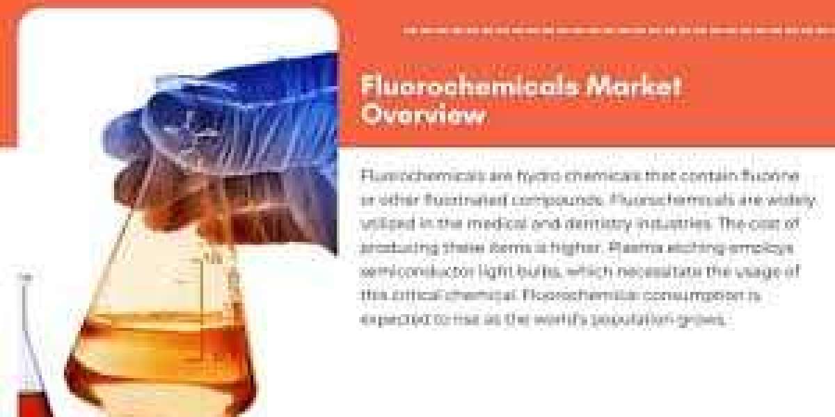 Fluorochemicals Market Growth Status and Forecast 2029