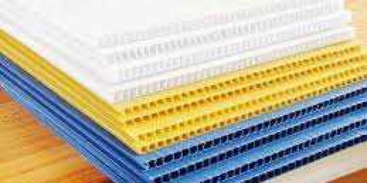 Extruded Polypropylene Market Share and Forecast to 2029