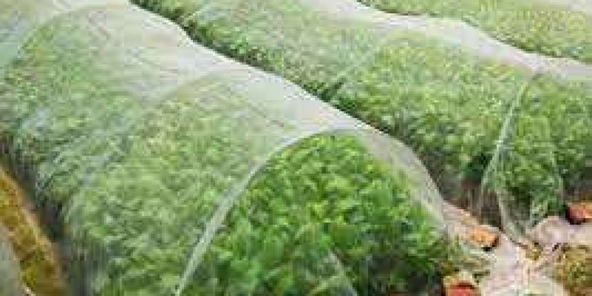 Agriculture Textile Market Recent Demand by Forecast to 2029