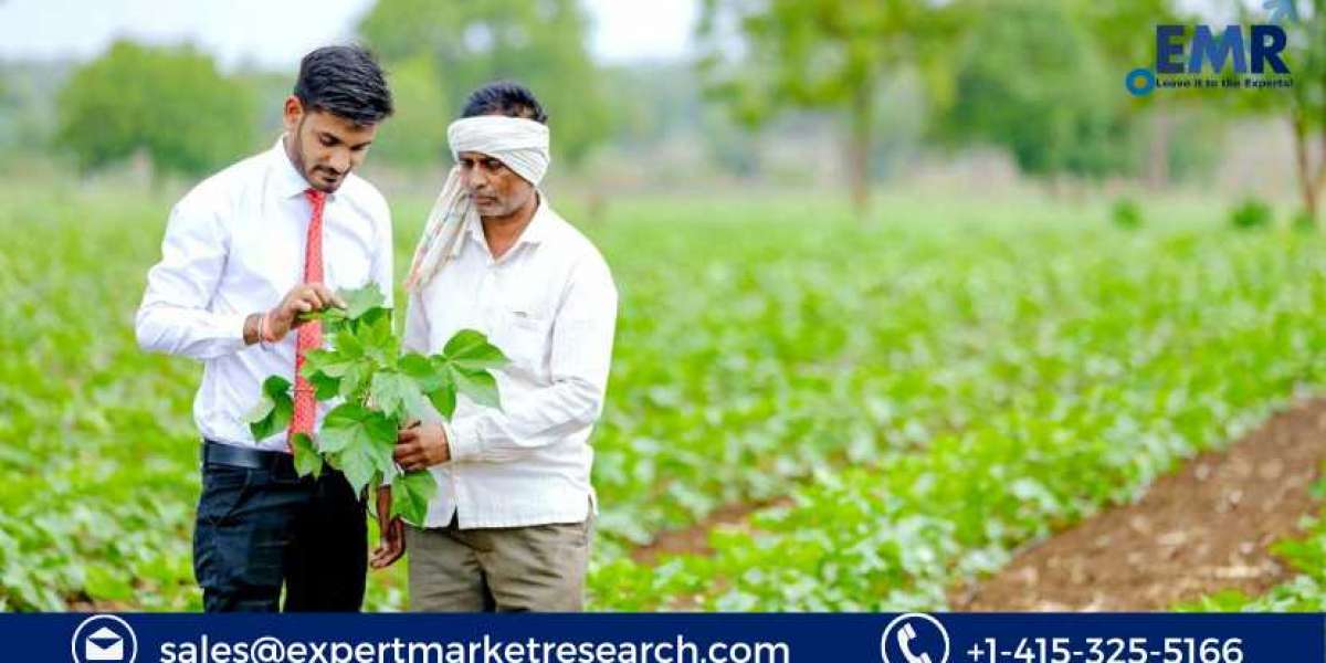 Global Crop Insurance Market Size, Share, Price, Trends, Growth, Report and Forecast 2023-2028