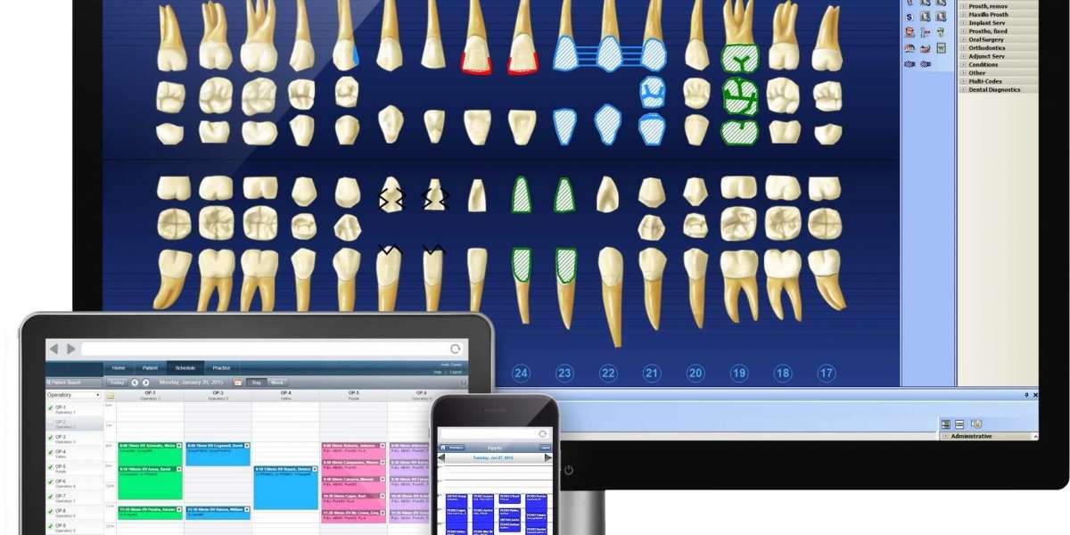 Dental Practice Management Software Market Share to Cross USD 4.90 Billion Valuation by 2030