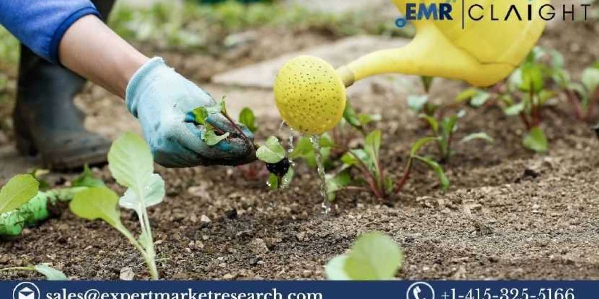 Global Biofertilisers Market Size, Share, Trends, Growth, Analysis, Report, Forecast 2024-2032