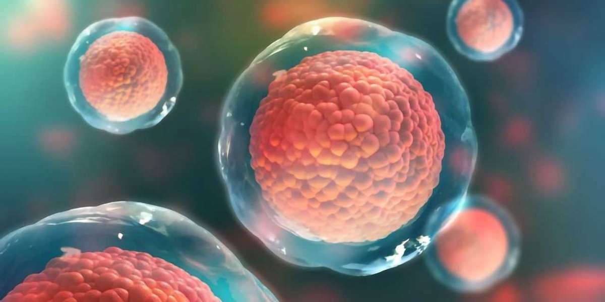 The Global Primary Cells Market Share to Witness Many Developments during 2023 -2030; MRFR