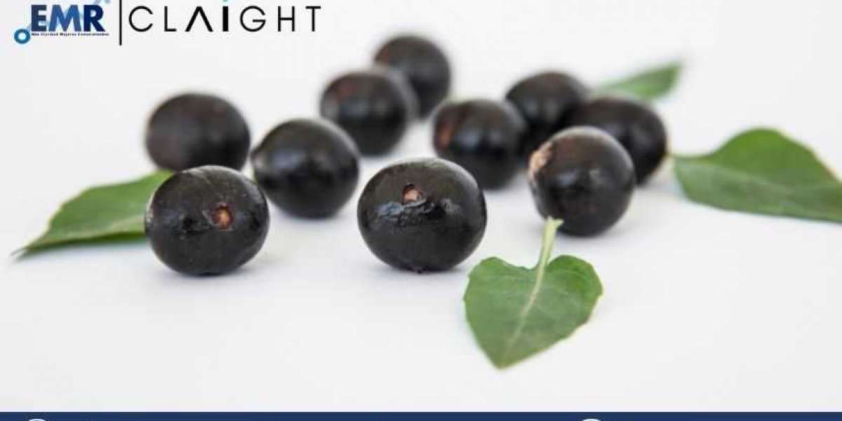 Global Acai Berry Market Size, Share, Trends, Growth, Key Players, Report and Forecast 2024-2032