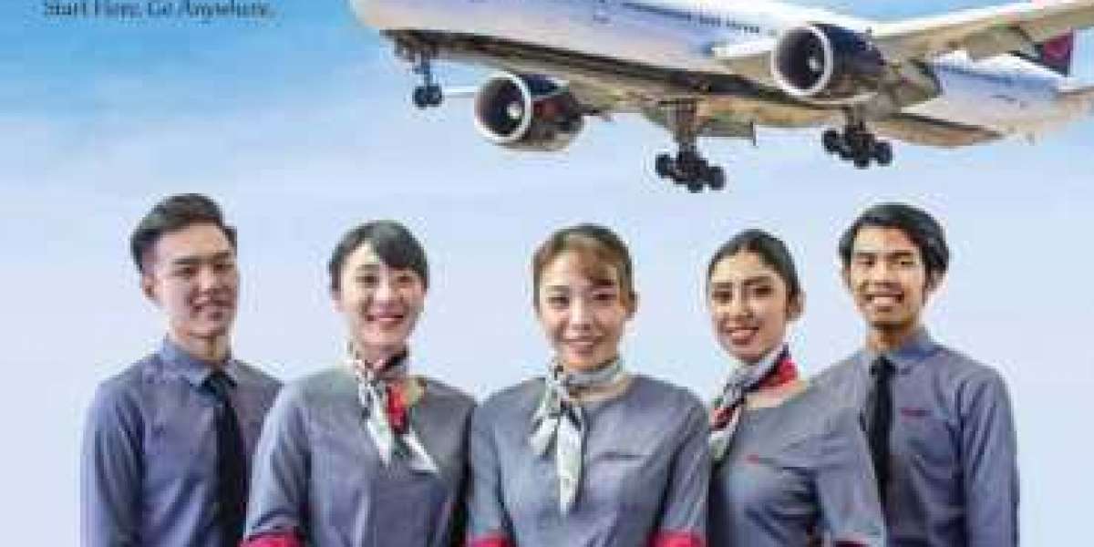 Choosing The Right Cabin Crew Course: Tips and Insights