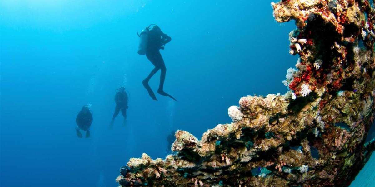 Explore the beauty of scuba diving in grand island