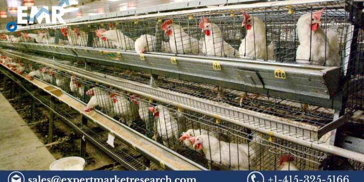 India Poultry Management Market Size to Grow at a Steady Pace in the Forecast Period of 2023-2028