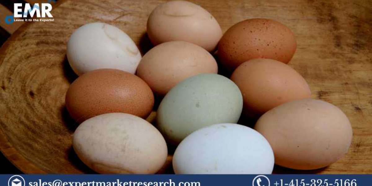 Global Specialty Egg Market Size, Share, Price, Trends, Report and Forecast 2023-2028