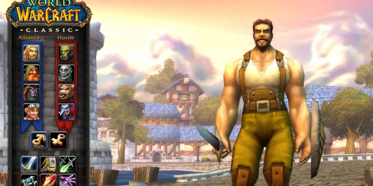 To seize the World of Warcraft “vanilla” enjoy as as it should be as viable
