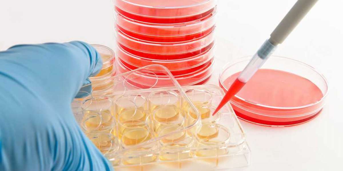 Global Automated Cell Culture Market Share to Increase Significantly With A CAGR of 8.18%