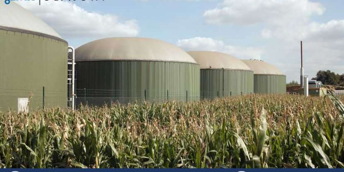 Global Biogas Market Market Size, Analysis, Growth 2024-2032
