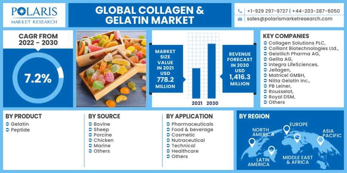 Collagen & Gelatin Market 2023 Huge Demand, Growth Opportunities and Expansion by 2032