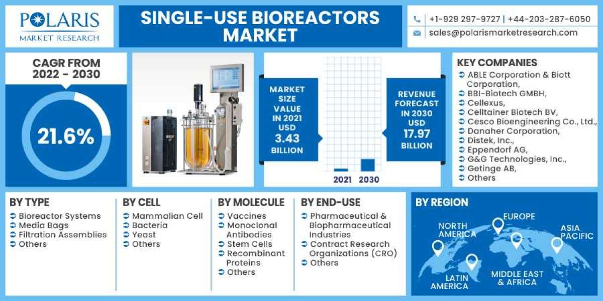 Single-use Bioreactors Market: A Study of the Leading Regions and Players in Industry Forecast till 2023-2032