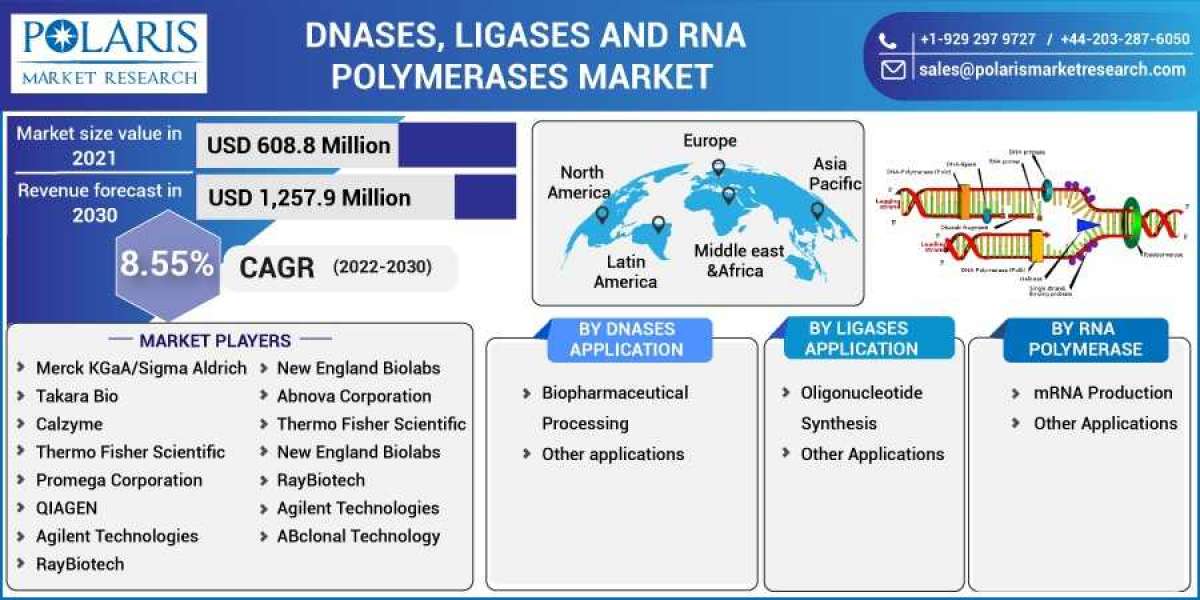 DNases, Ligases, and RNA Polymerases Market is Set to grow at healthy CAGR from 2023 to 2032