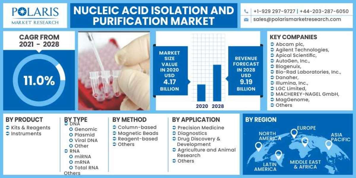 Nucleic Acid Isolation and Purification Market Size, Share, Growing Demand, Top Trends And Drivers For 2023-2032