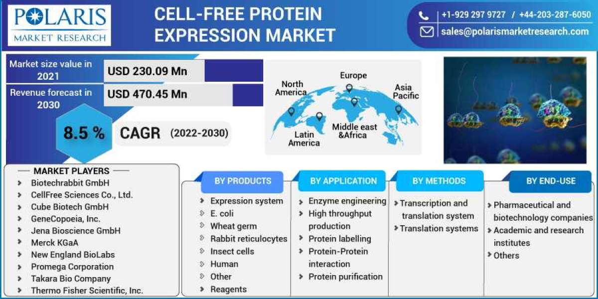 Cell-free Protein Expression Market is Set to grow at healthy CAGR from 2023 to 2032