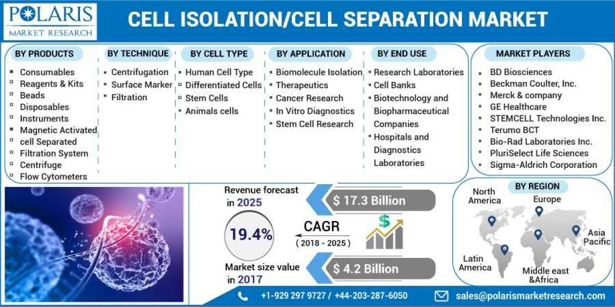 Cell Isolation/Cell Separation Market Overview - Forecast Market Size, Top Segments And Largest Region 2023-2032