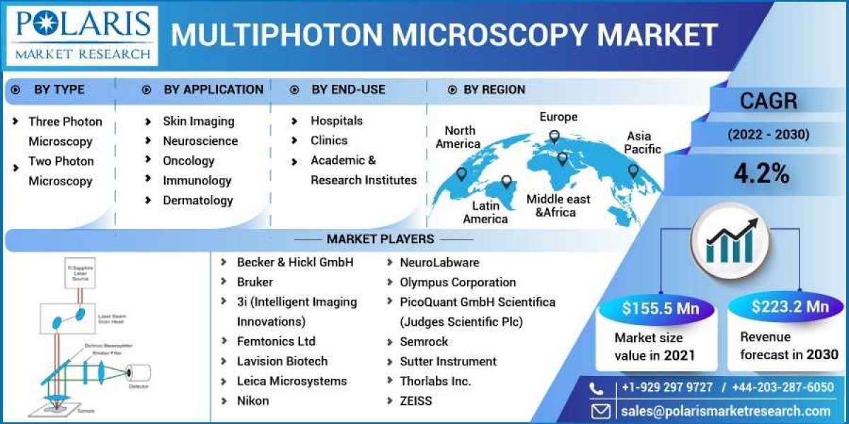 Multiphoton Microscopy Market is Set to grow at healthy CAGR from 2023 to 2032