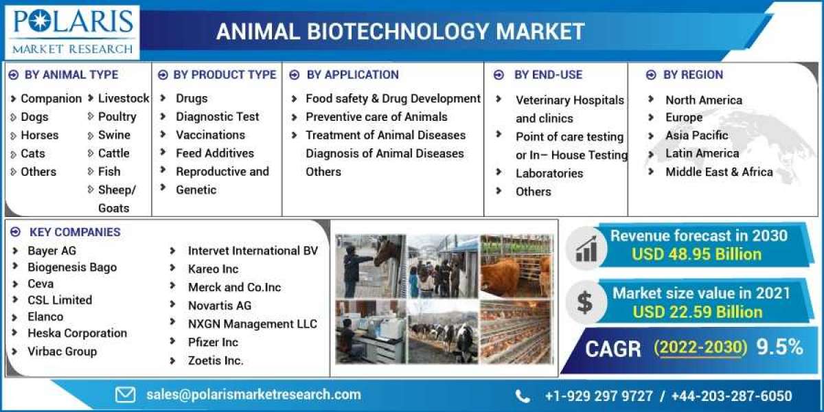 Animal Biotechnology Market Size, Share, Growing Demand, Top Trends And Drivers For 2023-2032