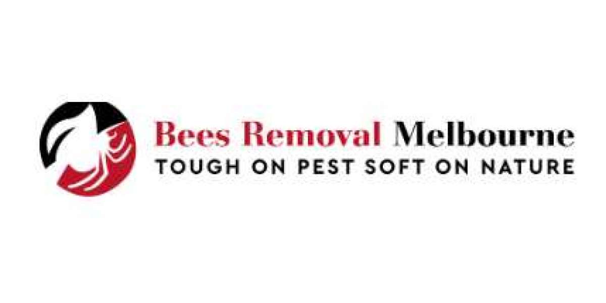 Unveiling the Costs of Bee Pest Control: A Melbourne Guide