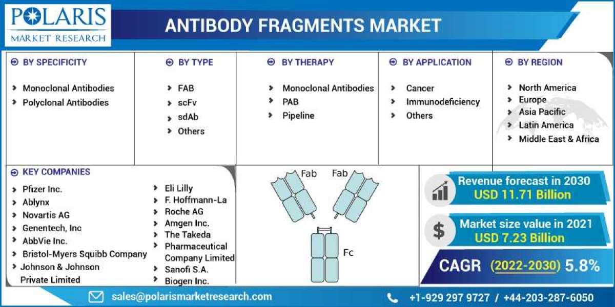 Antibody Fragments Market Size, Share, Growing Demand, Top Trends And Drivers For 2023-2032