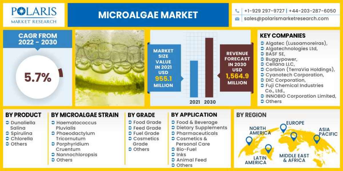 Microalgae Market 2023 Huge Demand, Growth Opportunities and Expansion by 2032