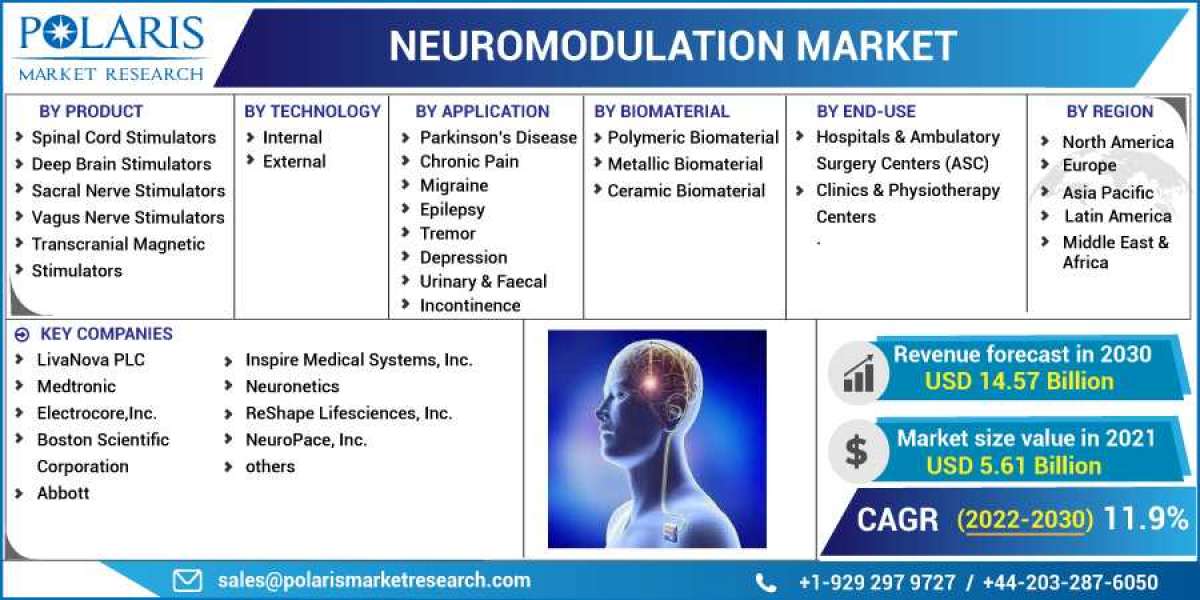 Neuromodulation Market Overview - Forecast Market Size, Top Segments And Largest Region 2023-2032