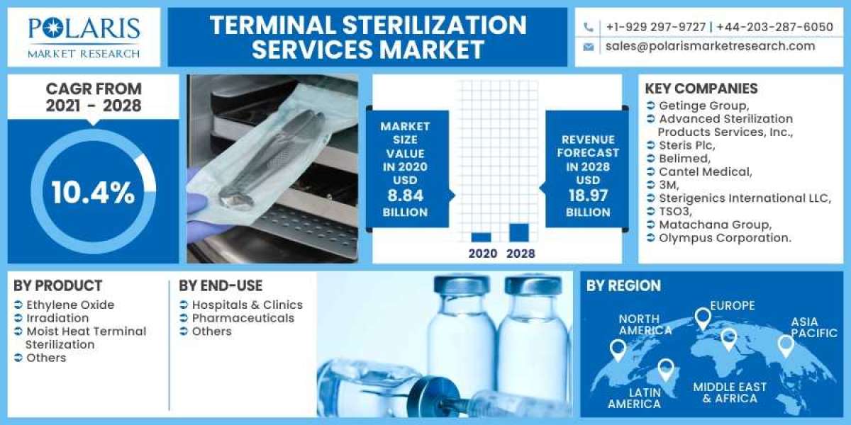 Terminal Sterilization Services Market is Set to grow at healthy CAGR from 2023 to 2032