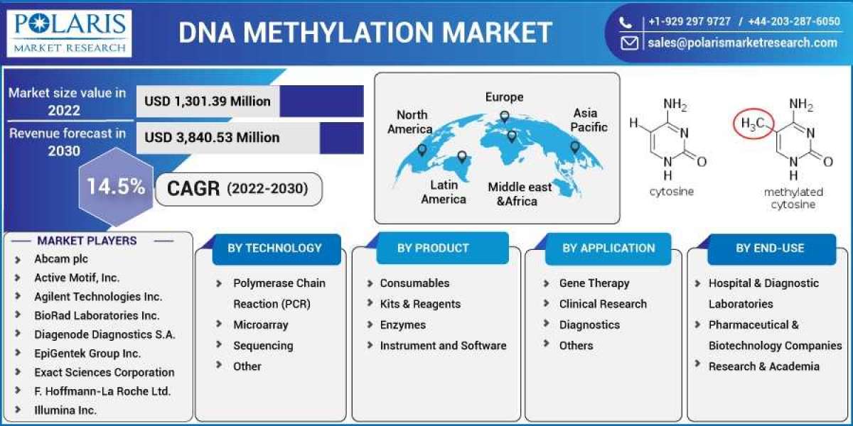 DNA Methylation Market is Set to grow at healthy CAGR from 2023 to 2032