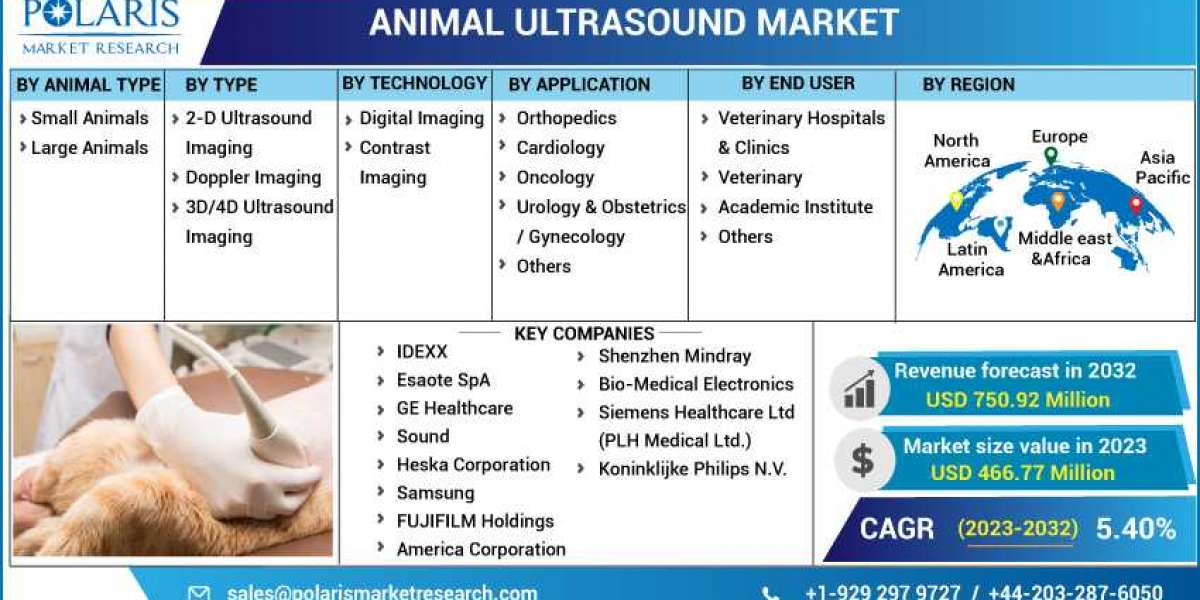 Animal Ultrasound Market Overview - Forecast Market Size, Top Segments And Largest Region 2023-2032