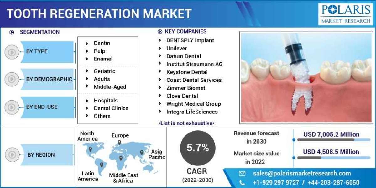 Tooth Regeneration Market Size, Share, Growing Demand, Top Trends And Drivers For 2023-2032