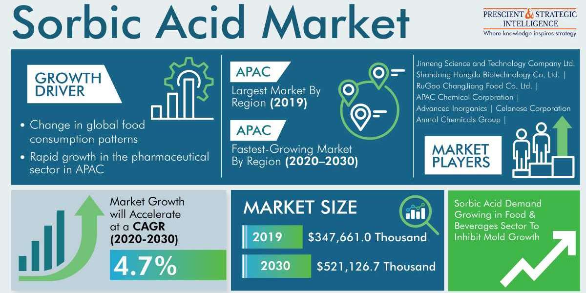 Preserving Progress: Navigating the Global Sorbic Acid Market Dynamics