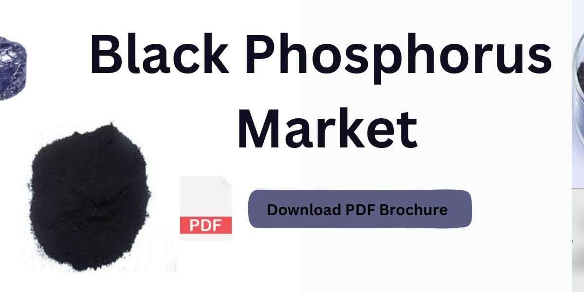 Phosphorus Futura: Unlocking Growth and Scope in Black Phosphorus Market