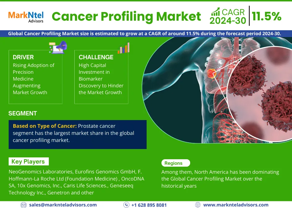 Cancer Profiling Market Analysis 2024-2030 | Current Demand, Latest Trends, and Investment Opportunity