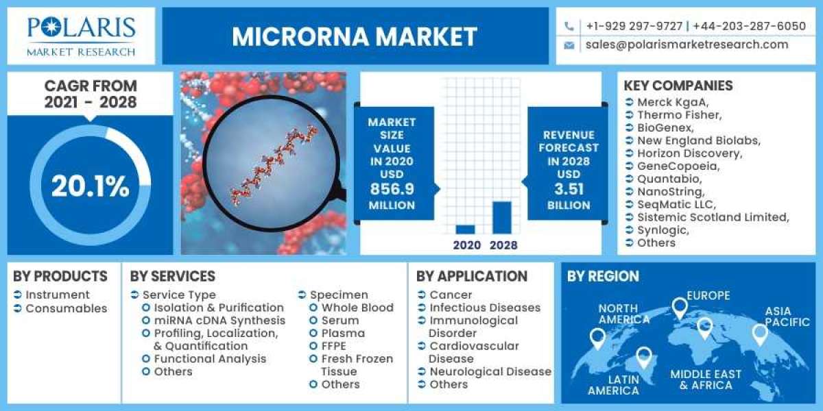Microrna Market Size, Share, Revenue, Trends And Drivers For 2024-2032