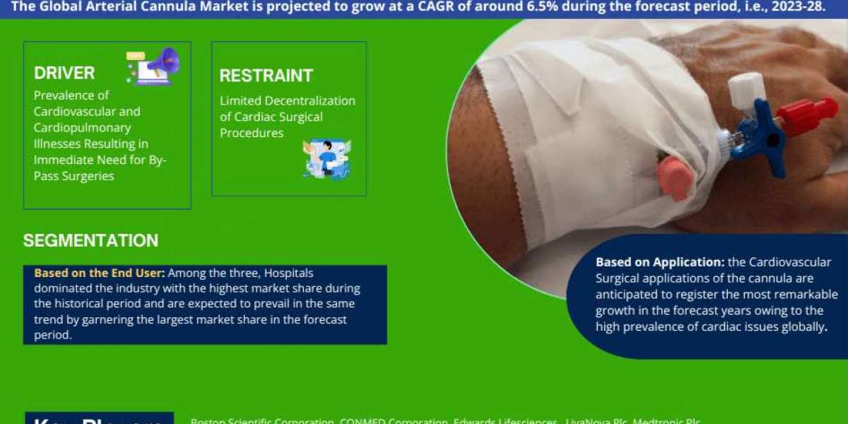 Arterial Cannula Market is Poised for Growth with a 6.5% CAGR Until 2028