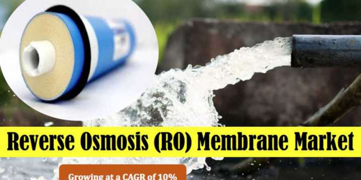 Water's Guardian: RO Membrane Market's Strategic Ascent and Demand Dynamics