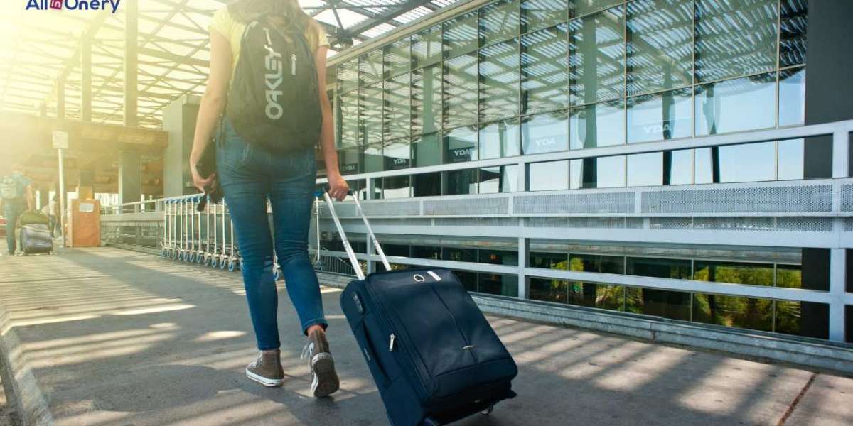 How Best Luggage For European Travel Rose to The #1 Trend on Social Media