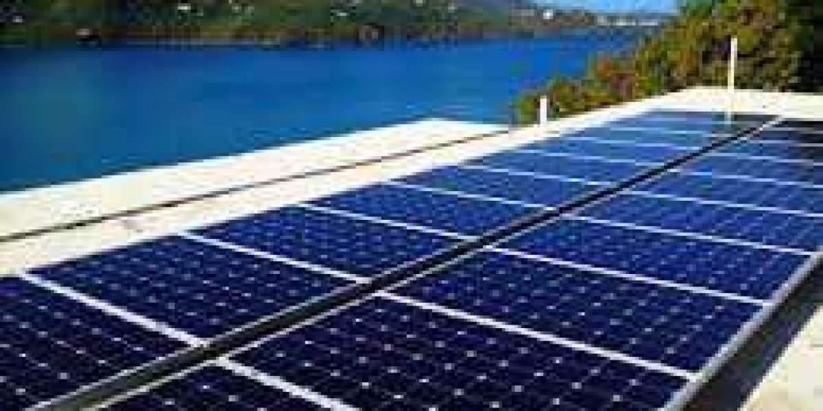 The Caribbean Solar Company: Shining a Light on Sustainable Energy Solutions