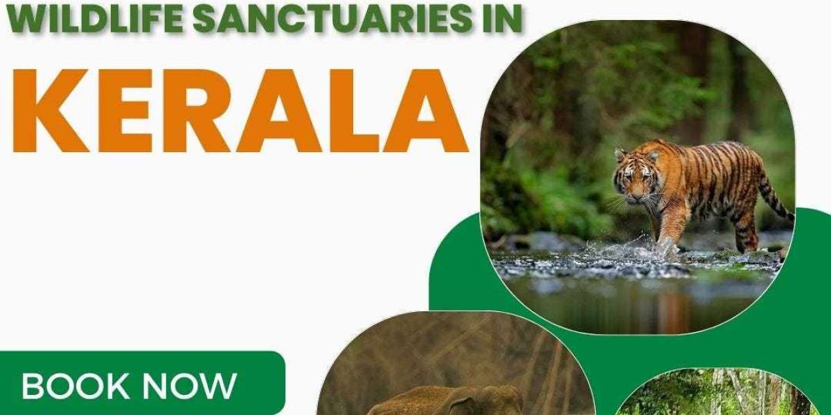 Exploring Kerala's Biodiversity: An Exhaustive Manual for the Wildlife Sanctuaries in God's Own Country
