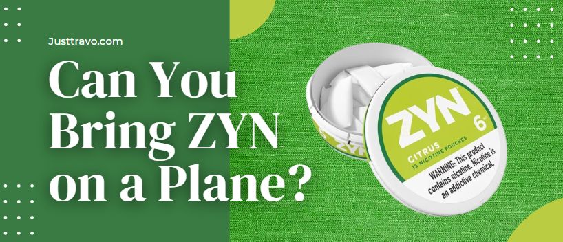 Can You Bring Zyn in a Plane? (Read This First!)