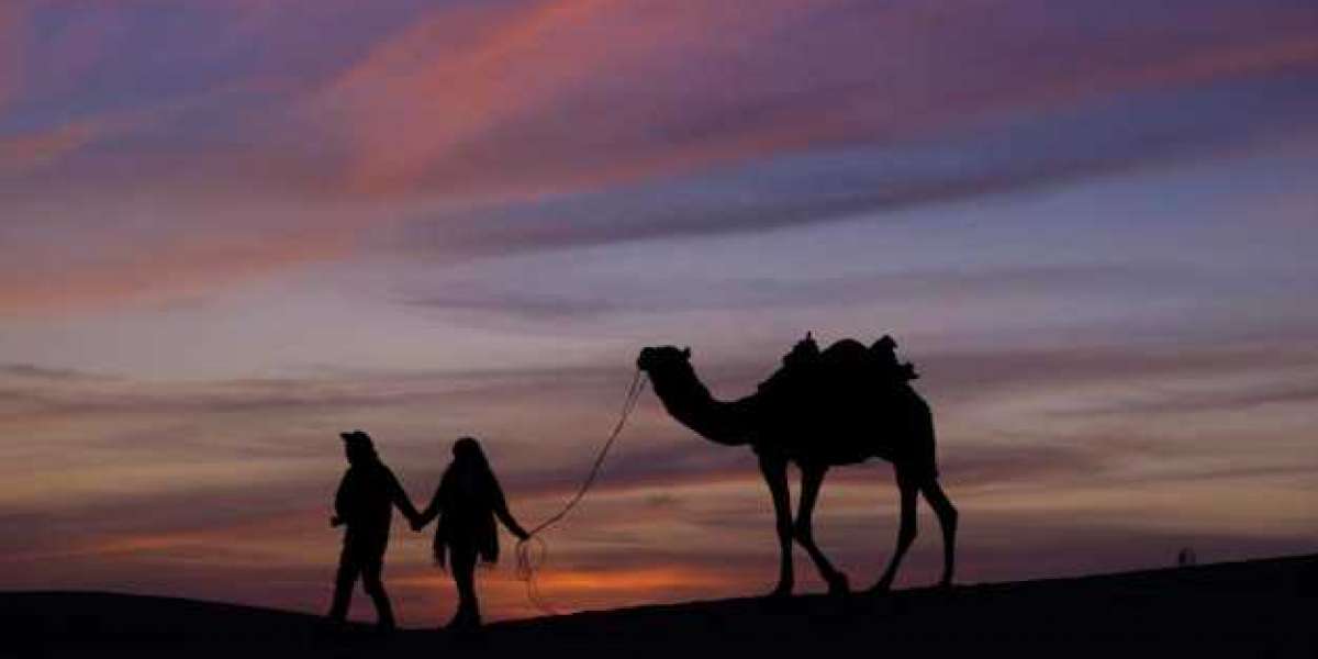 Immersive Adventure Abu Dhabi Desert Safari Overnight Experience