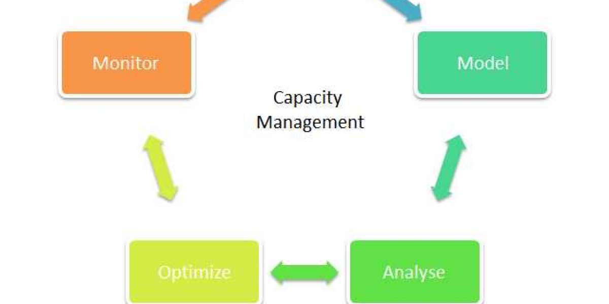 Capacity Management Market Revenue, Statistics, Industry Growth and Demand Analysis Research Report by 2030