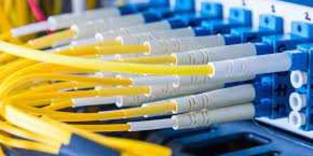 Fiber Optic Cable Assemblies Market Analysis by Service Type, by Vertical